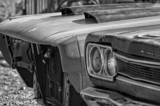Mustang Mach 1 vs Shelby GT350 – Performance Breakdown